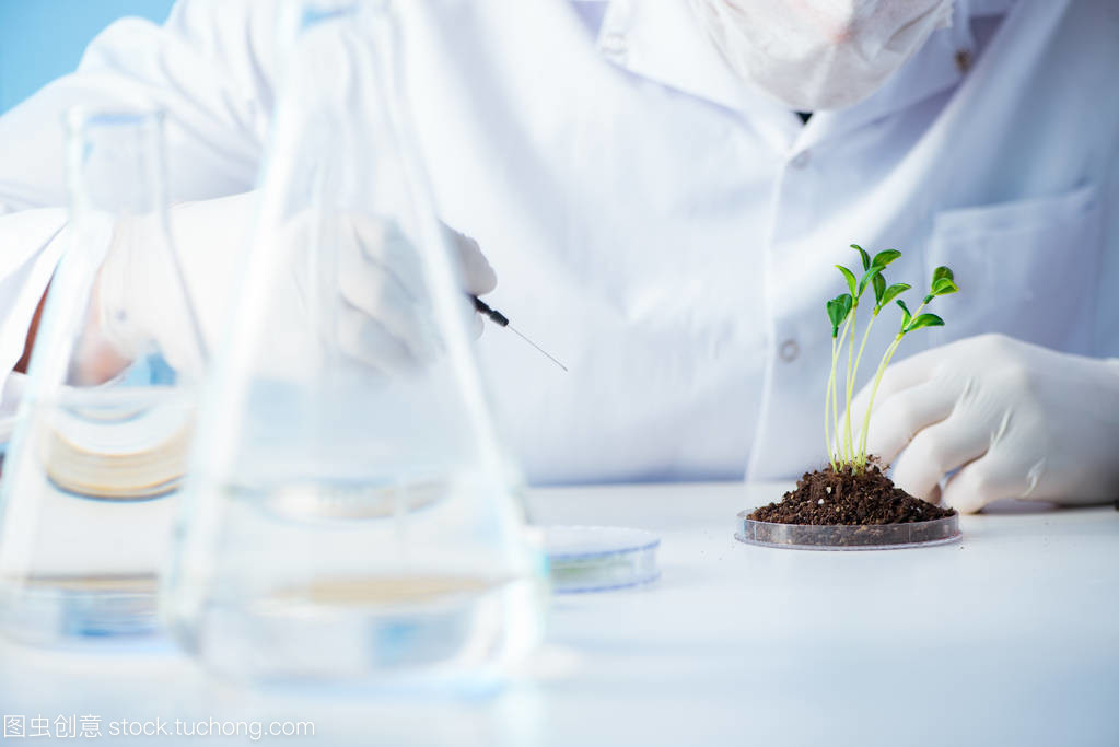 实验室里的生物技术革命 从微观操控到宏观未来