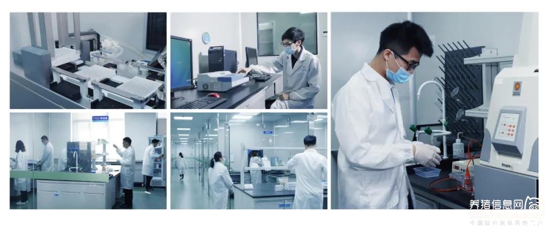 再创新高！广州悦洋生物携手华南农业大学共建研究生联合培养实践基地，赋能生物技术研究新突破